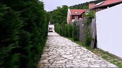 XNXX