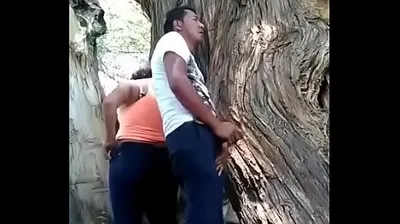 XNXX