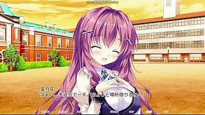 XNXX