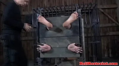XNXX