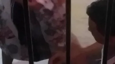 XNXX