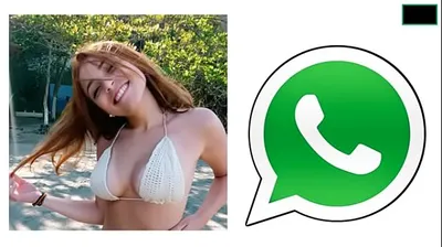 XNXX
