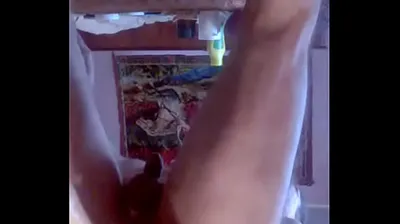 XNXX