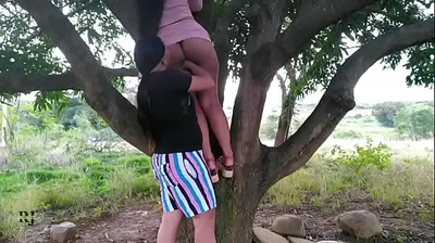 XNXX