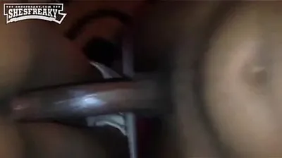 XNXX