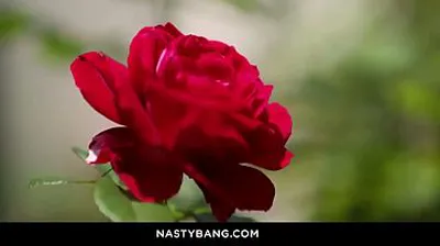 XNXX