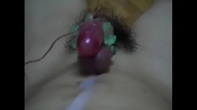 XNXX