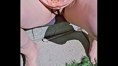 XNXX
