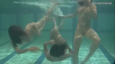 XNXX