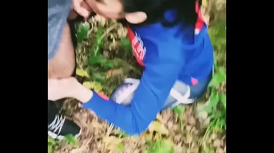 XNXX