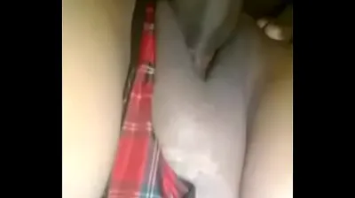 XNXX
