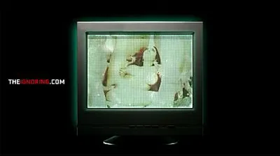 XNXX