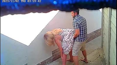 XNXX