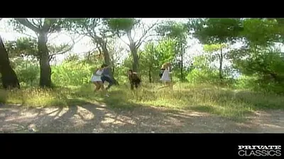 XNXX