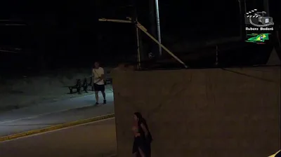 XNXX