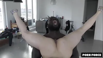 XNXX