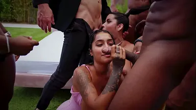 XNXX