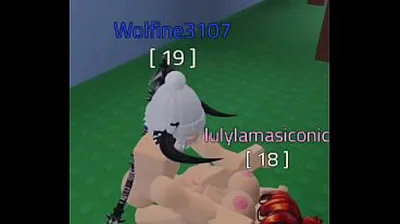 XNXX