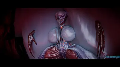 XNXX