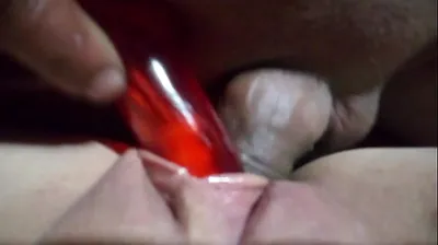 XNXX