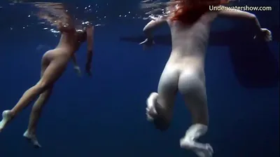 XNXX