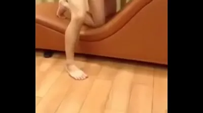 XNXX
