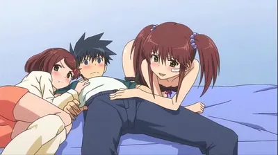 XNXX