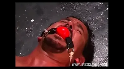 XNXX