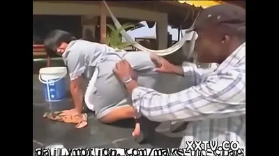 XNXX