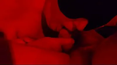XNXX