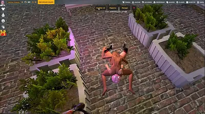 XNXX