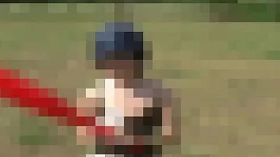 XNXX