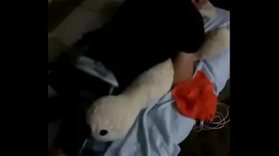 XNXX