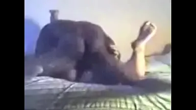XNXX