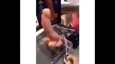 XNXX