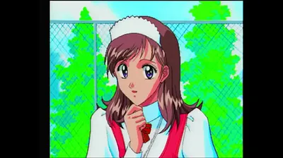 XNXX