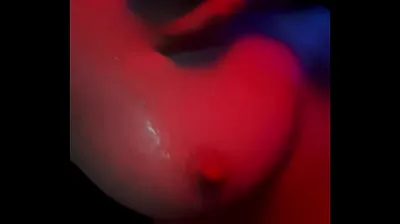 XNXX