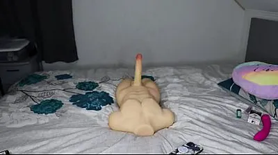XNXX