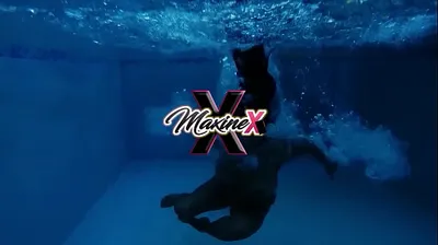 XNXX