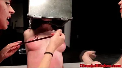 XNXX