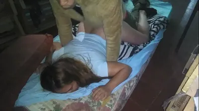 XNXX