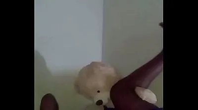 XNXX