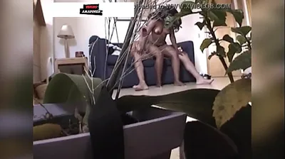 XNXX