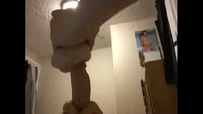 XNXX