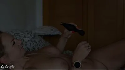 XNXX