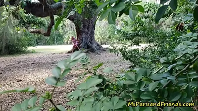 XNXX
