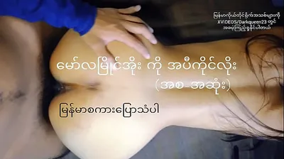 XNXX