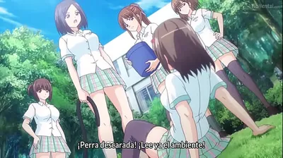 XNXX