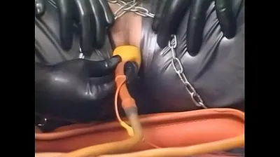 XNXX
