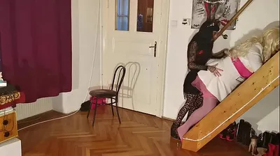 XNXX